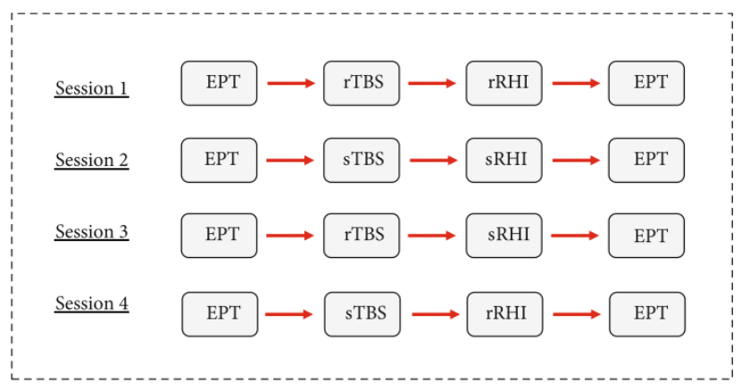 rTMS实验流程